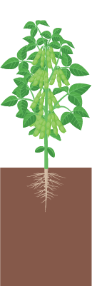 R5